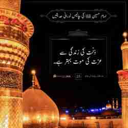 عزت کی موت