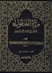 مراة العقول في شرح اخبار آل الرسول (ص) الجزء السابع عشر