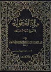 مراة العقول في شرح اخبار آل الرسول (ص) الجزء21