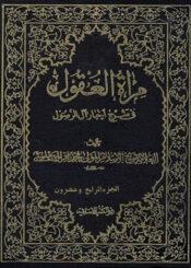 مراة العقول في شرح اخبار آل الرسول (ص) الجزء24