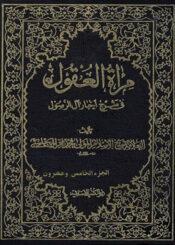 مراة العقول في شرح اخبار آل الرسول (ص) الجزء25