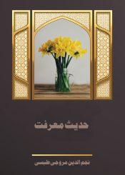 حدیث معرفت، بررسی سندی و دلالی حدیث معرفت و نسبت آن با امام زمان (عج)