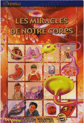 LES MIRACLES DE NOTRE CORPS