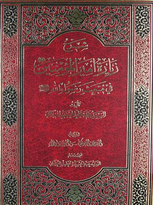 شرح زيارة أمير المؤمنين (ع) في مبعث رسول الله (ص)
