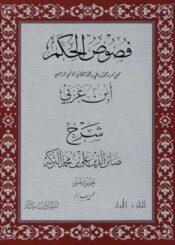 شرح فصوص الحكم (ابن تركه) الجزء الأول