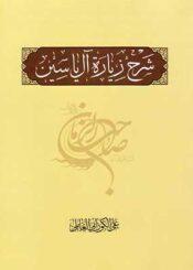 شرح زيارة آل ياسين