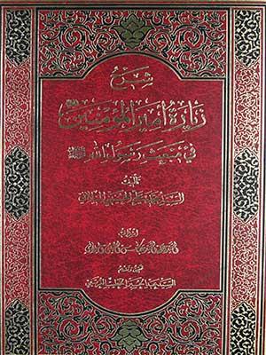 شرح زيارة أمير المؤمنين عليه السلام