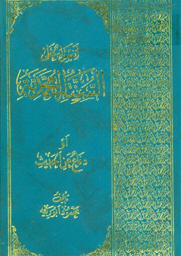 أضواء على السنّة المحمديّة أو دفاع عن الحديث