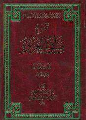 تنقيح مباني العروة-كتاب الطهارة الجزء الثالث