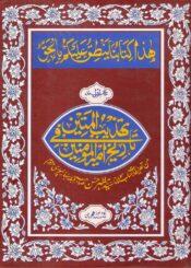 تہذیب المتین فی تاریخ امیر المومنین ج۱