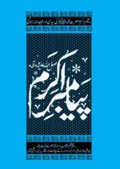 پیغمبر اکرم ﷺ کی سیاسی اور مجاہدانہ زندگی